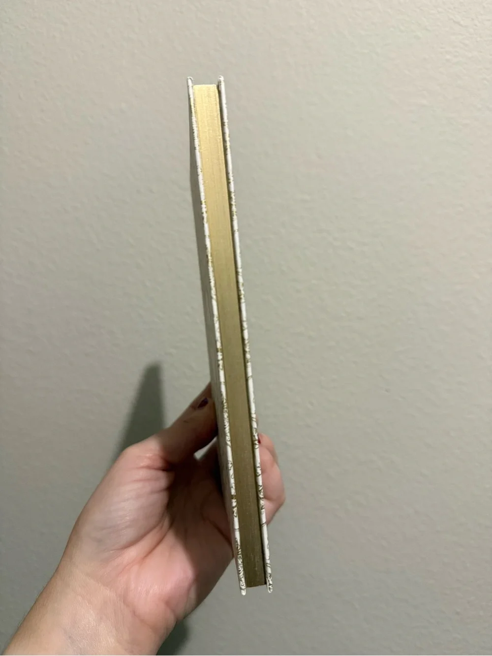 NIB Dior Journal